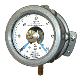 Манометры электроконтактные / сигнализирующие /взрывозащищенные. Манометры, вакуумметры, мановакуумметры ДМ2005Сг1Ех / ДМ2005Сг1ЕхКс, ДВ2005Сг1Ех / ДВ2005Сг1ЕхКс, ДА2005Сг1Ех / ДА2005Сг1ЕхКс