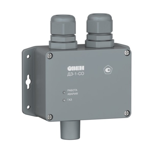 dz-1-so-1-cignalizator-detektor-ugarnogo-gaza-so-dlya-parkovok.jpg