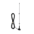 ant-5.png
